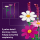 LEGO BOTANICALS 11514 Kosmosy - 1529720 - zdjęcie 5